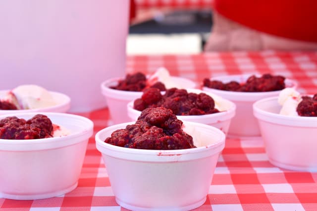 Festival Raspberry Fun Festival Highlights | Northwest Raspberry Festival