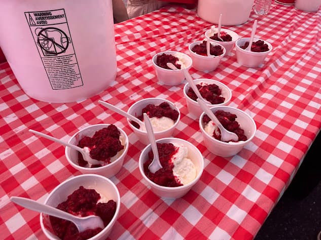 raspberried and vanilla ice cream