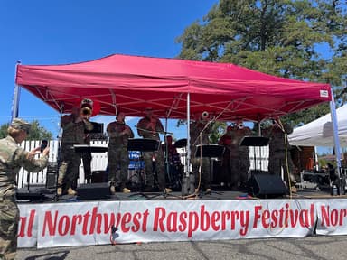 musicians on stage at the festival
