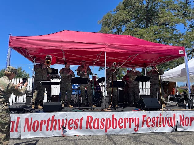 musicians on stage at the festival