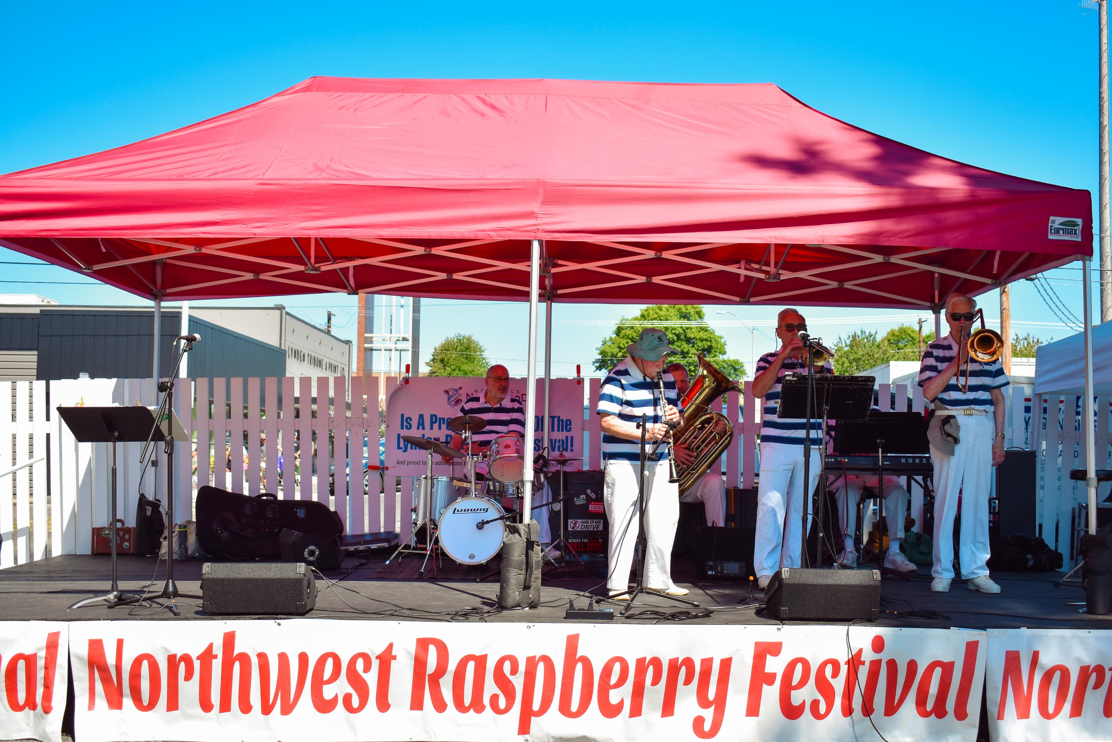 musicians on stage at the festival