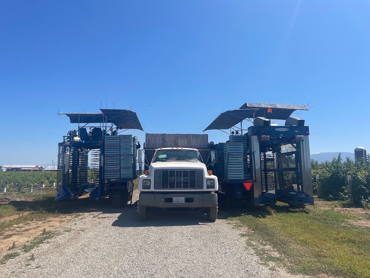 Raspberry harvesting equipment in a field